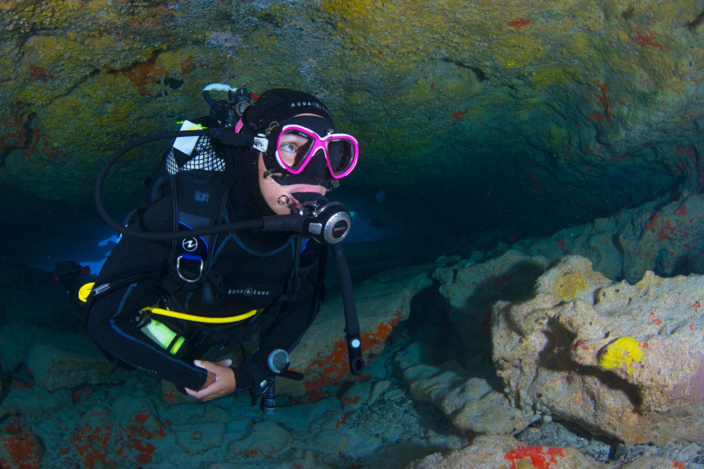Dives At The Isla De Lobos