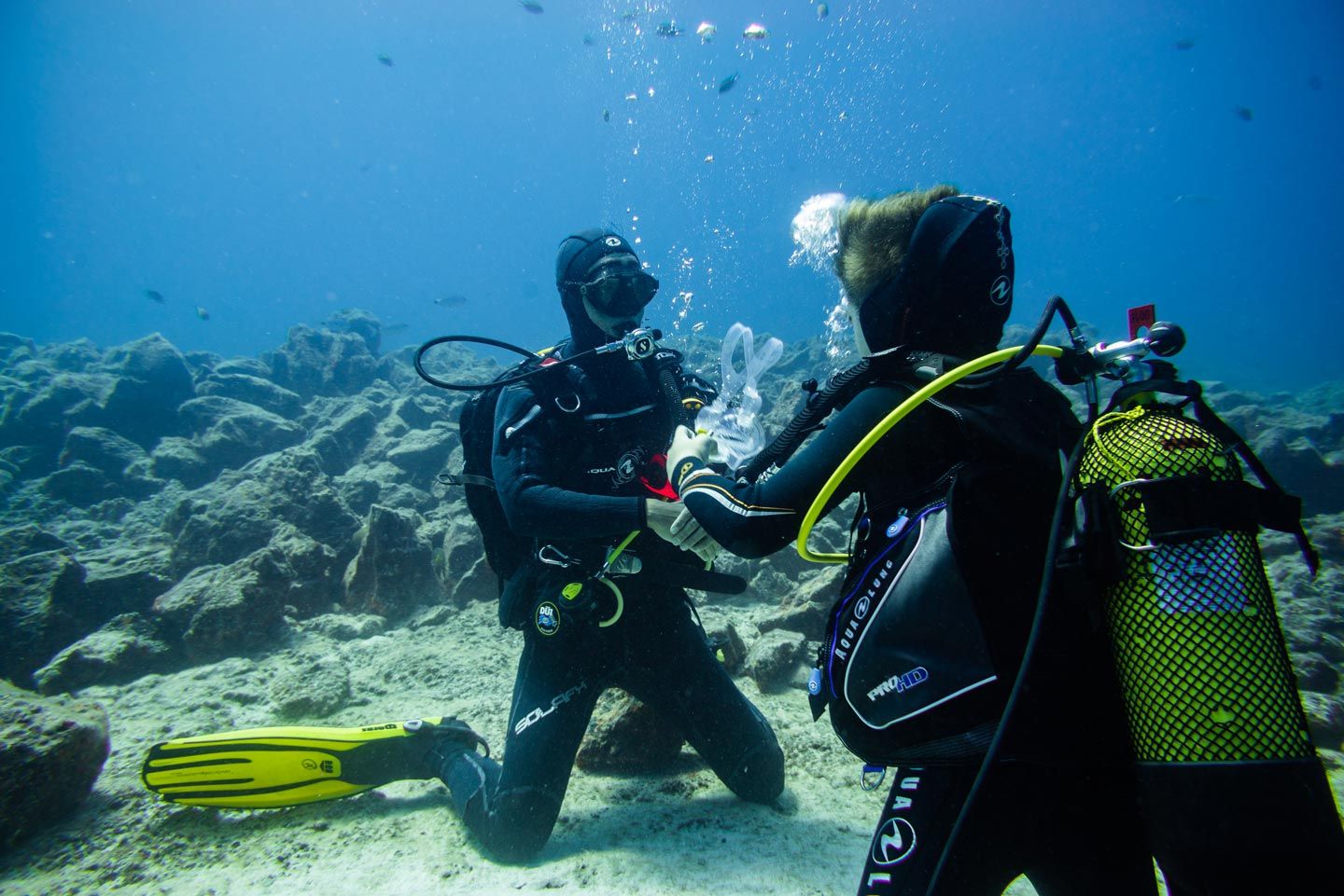 Instructor Training Course Open Water Instructor